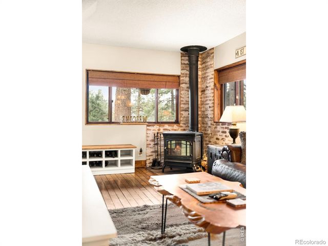 257 Lo Meadow Lane, Bailey, CO 80421