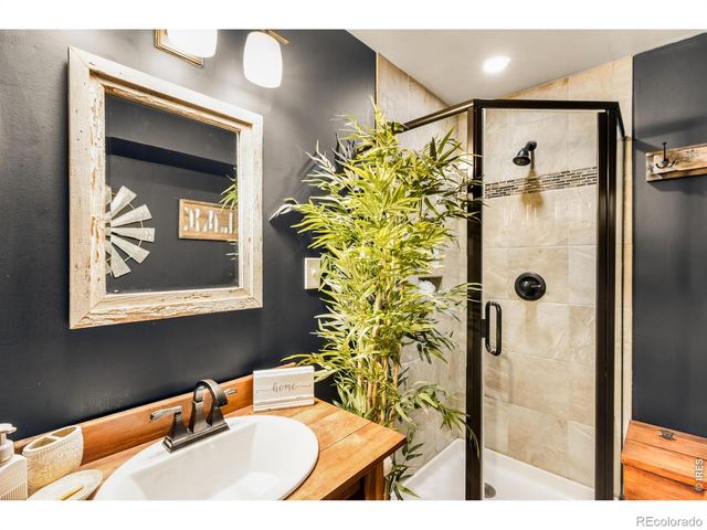 257 Lo Meadow Lane, Bailey, CO 80421