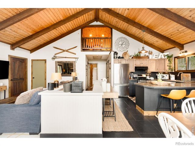 257 Lo Meadow Lane, Bailey, CO 80421