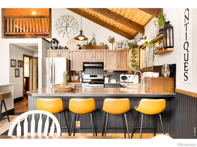 257 Lo Meadow Lane, Bailey, CO 80421
