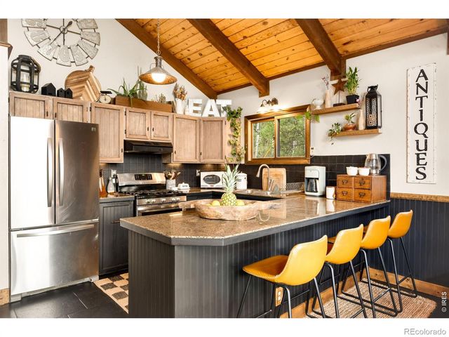 257 Lo Meadow Lane, Bailey, CO 80421