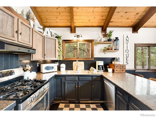257 Lo Meadow Lane, Bailey, CO 80421
