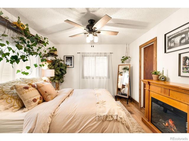 257 Lo Meadow Lane, Bailey, CO 80421