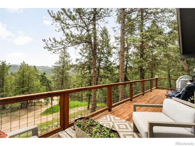 257 Lo Meadow Lane, Bailey, CO 80421