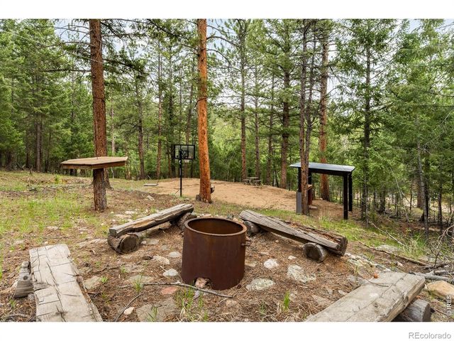 257 Lo Meadow Lane, Bailey, CO 80421