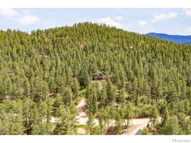 257 Lo Meadow Lane, Bailey, CO 80421