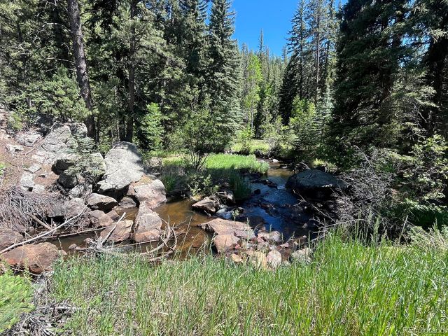 257 Lo Meadow Lane, Bailey, CO 80421