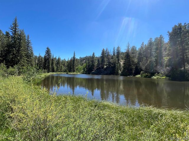 257 Lo Meadow Lane, Bailey, CO 80421