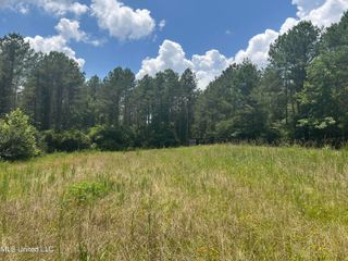 George Warren Road, Brandon, MS 39042