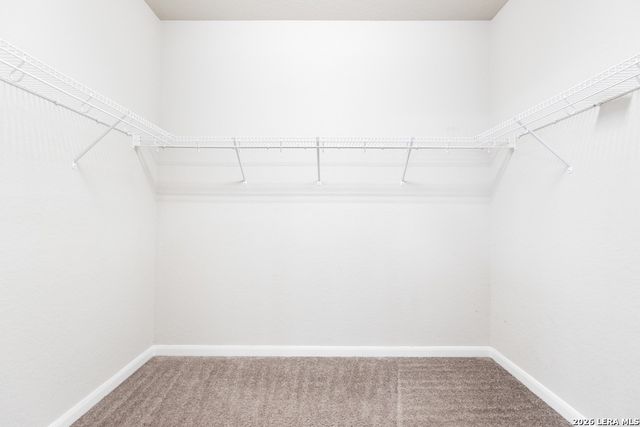 15136 PANDION DR, San Antonio, TX 78245