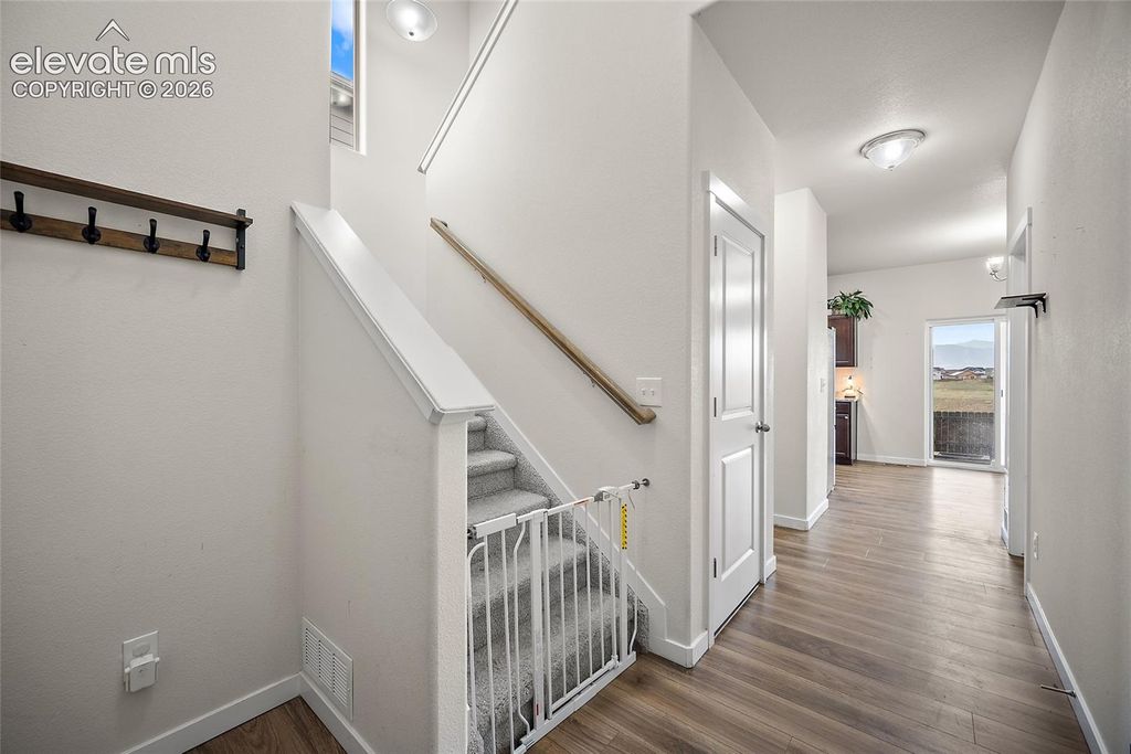 6244 Wacissa Drive, Colorado Springs, CO 80925 — photo 5