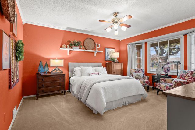 227 Cottonwood Lane, Levelland, TX 79336