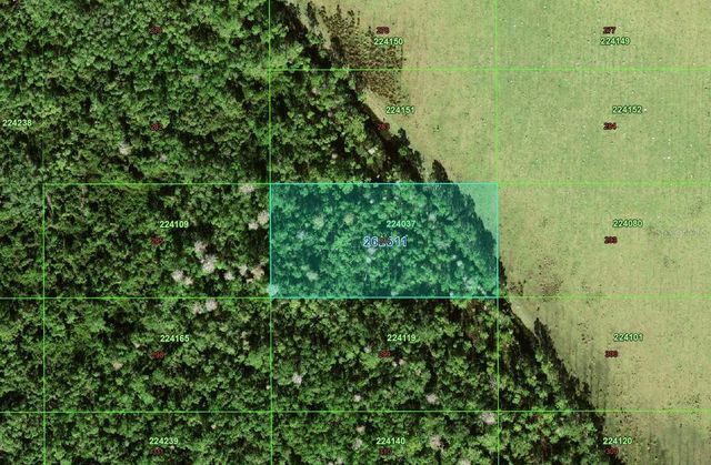 TBD, Polk City, FL 33868