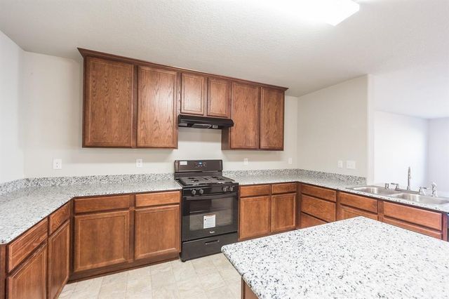 2534 Sandbar Shark Court, Katy, TX 77449