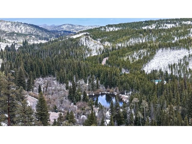 296 Elkridge Rd, Red Feather Lakes, CO 80545