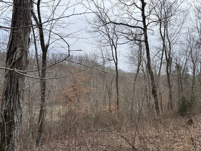 0 Cathcart Rd, Frankewing, TN 38459