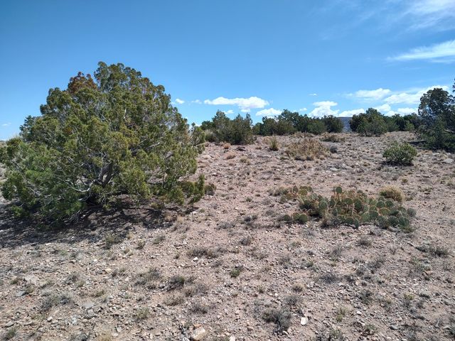 Sunrise Drive, Placitas, NM 87043
