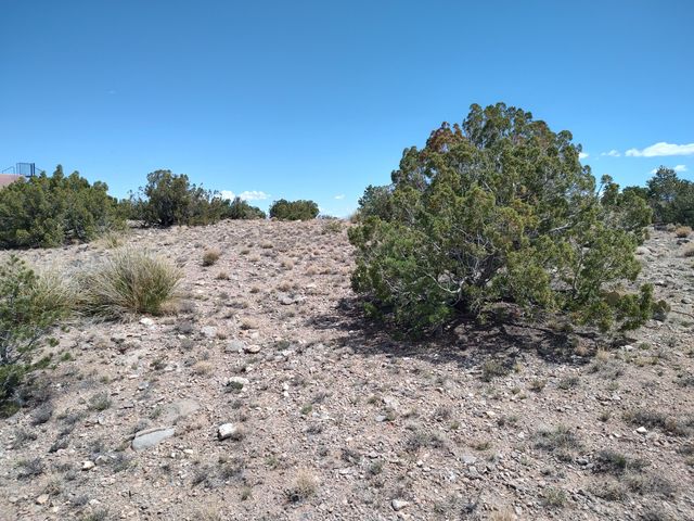 Sunrise Drive, Placitas, NM 87043