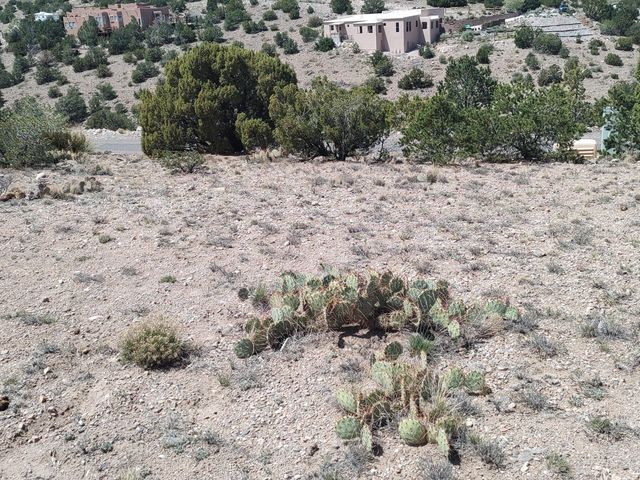Sunrise Drive, Placitas, NM 87043