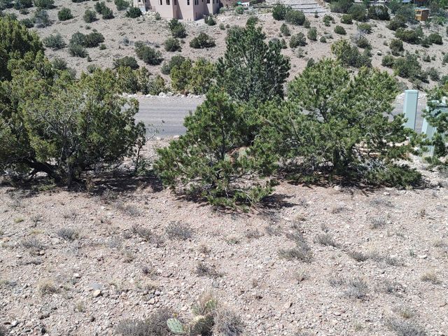 Sunrise Drive, Placitas, NM 87043