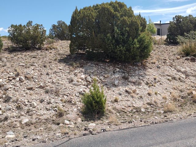 Sunrise Drive, Placitas, NM 87043