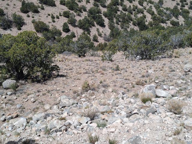 Sunrise Drive, Placitas, NM 87043