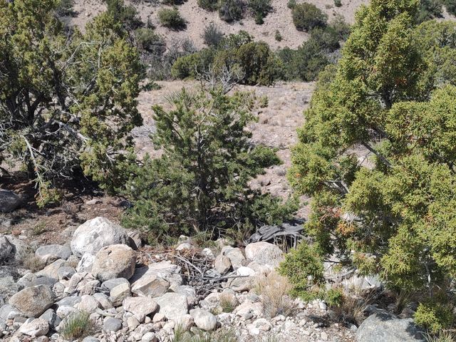 Sunrise Drive, Placitas, NM 87043