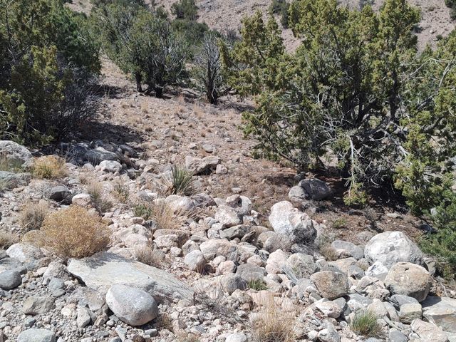 Sunrise Drive, Placitas, NM 87043