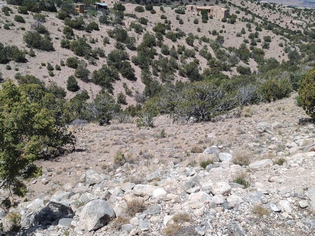 Sunrise Drive, Placitas, NM 87043
