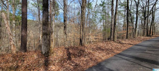 45 COOSA VIEW LANE, Riverside, AL 35135