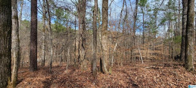 45 COOSA VIEW LANE, Riverside, AL 35135