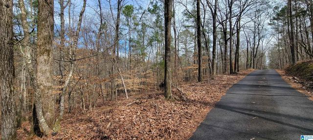 45 COOSA VIEW LANE, Riverside, AL 35135