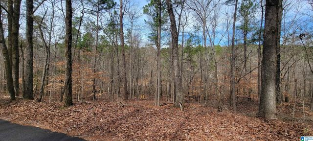 45 COOSA VIEW LANE, Riverside, AL 35135