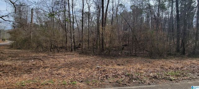 45 COOSA VIEW LANE, Riverside, AL 35135