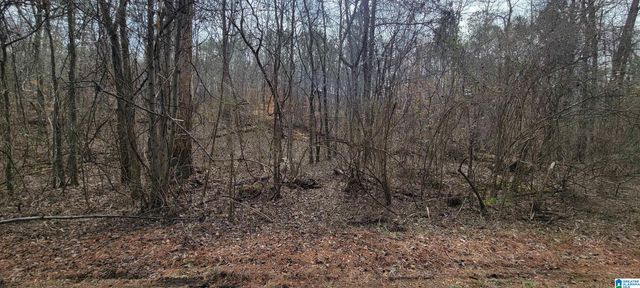 45 COOSA VIEW LANE, Riverside, AL 35135