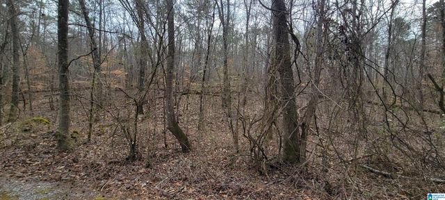 45 COOSA VIEW LANE, Riverside, AL 35135