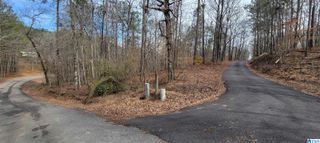 45 COOSA VIEW LANE, Riverside, AL 35135