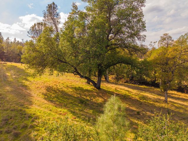 Deer Hollow Court, Redding, CA 96001