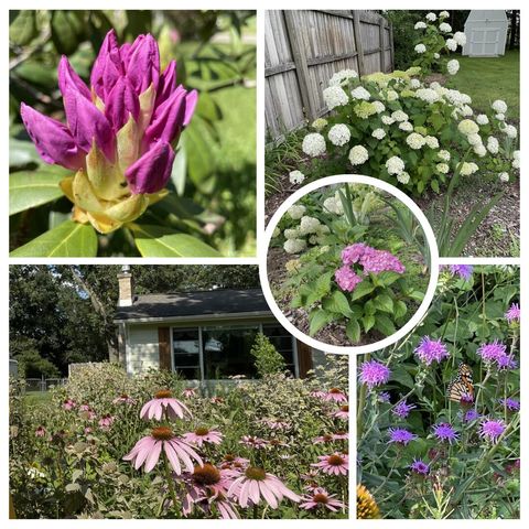 3256 Dorais Drive Ne, City Of Grand Rapids, MI 49525