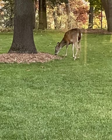 3256 Dorais Drive Ne, City Of Grand Rapids, MI 49525