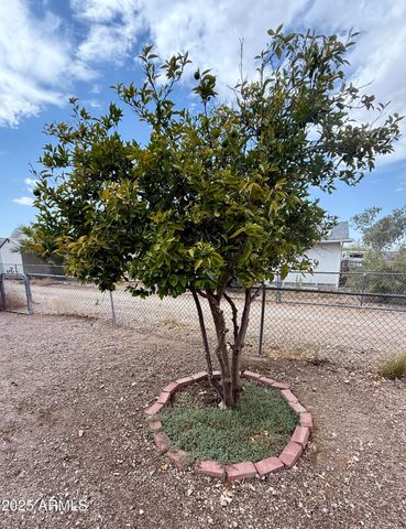 330 W 6TH Street, Ajo, AZ 85321