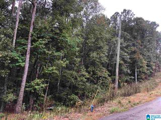 13 HICKORY LANE, Odenville, AL 35120