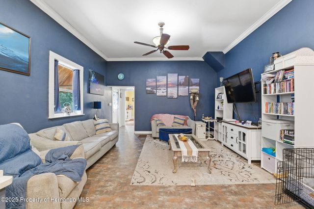 117 S Brooksville Avenue, Brooksville, FL 34601