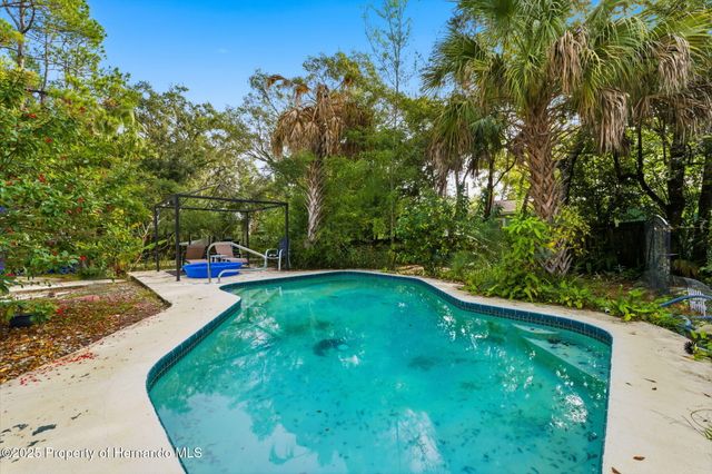 117 S Brooksville Avenue, Brooksville, FL 34601