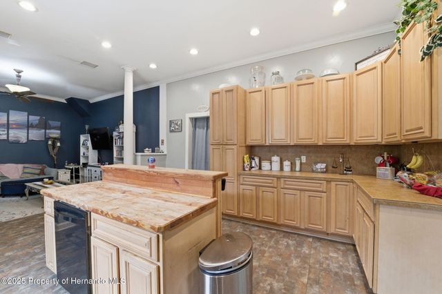 117 S Brooksville Avenue, Brooksville, FL 34601