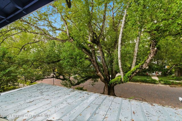 117 S Brooksville Avenue, Brooksville, FL 34601