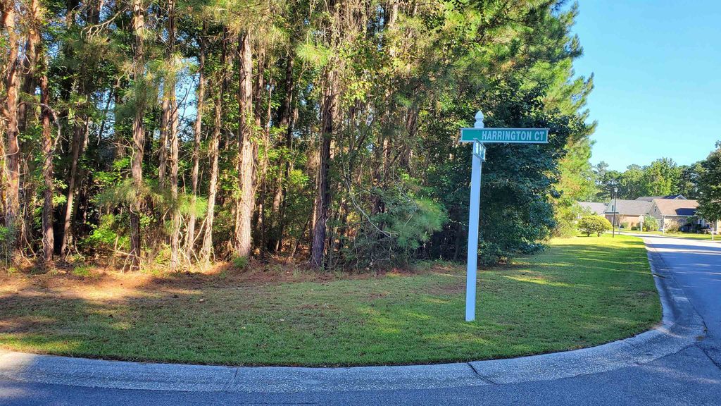 131 Waterhall Dr., Murrells Inlet, SC 29576 — exterior