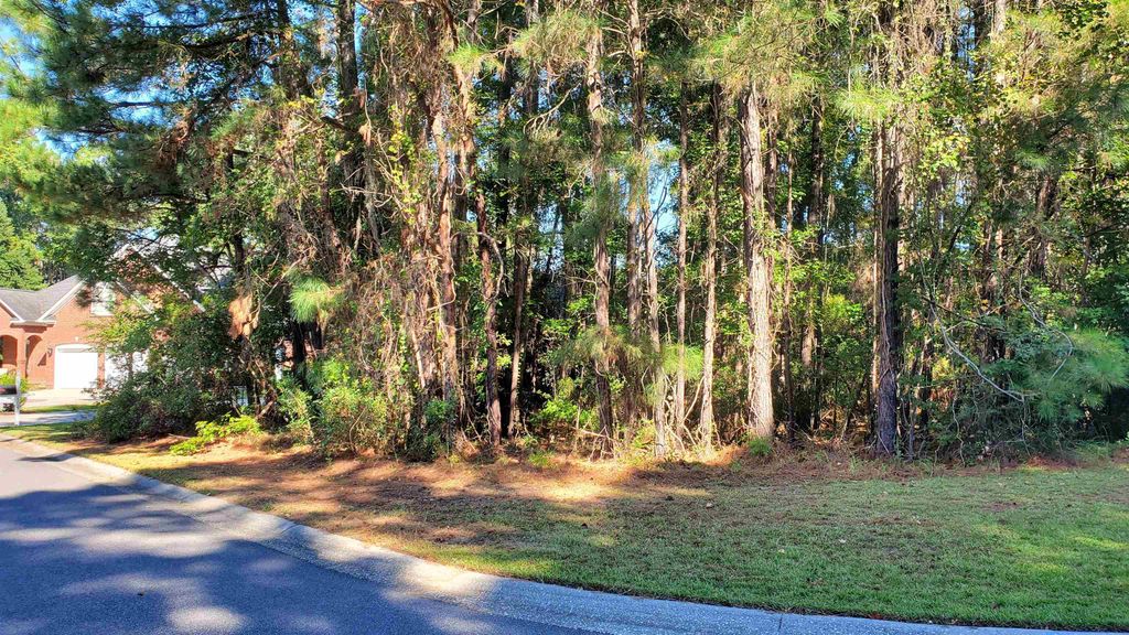 131 Waterhall Dr., Murrells Inlet, SC 29576 — photo 3