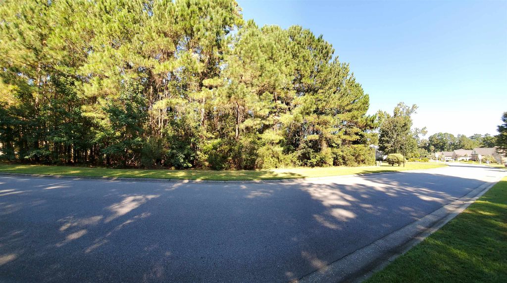 131 Waterhall Dr., Murrells Inlet, SC 29576 — photo 4