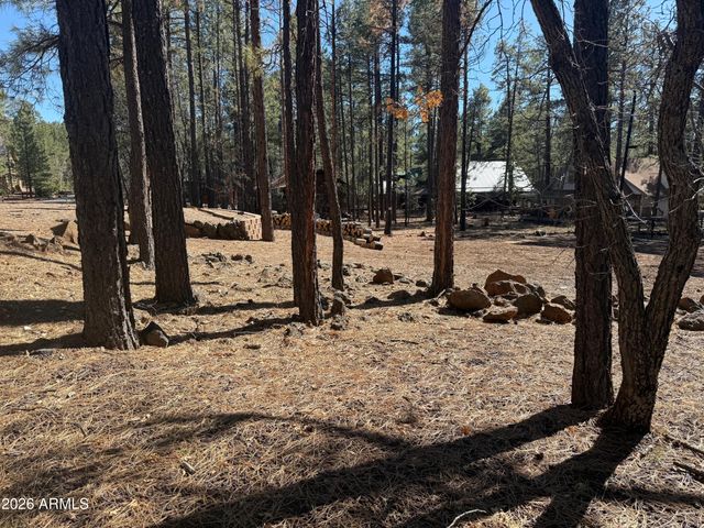 3430 Blacksmith Trail -, Pinetop, AZ 85935